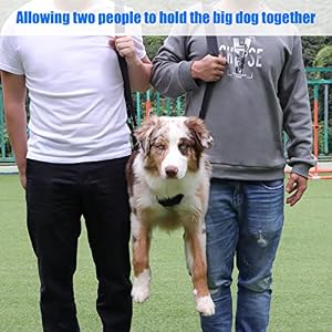 Dog Carry Sling, Emergency Backpack Pet Legs Support & Rehabilitation Dog Lift Harness for Large Dogs, Dog Carrier for Senior Dogs Joint Injuries, Arthritis, Up and Down Stairs (Blue, XXL) Dog Carry Sling, Emergency Backpack Pet Legs Support & Rehabilitation Dog Lift Harness for Large Dogs, Dog Carrier for Senior Dogs Joint Injuries, Arthritis, Up and Down Stairs (Blue, XXL)