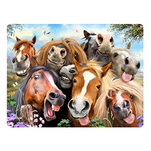 Howard Robinson HR18730 Selfies Horses Super 3D Carte postale à collectionner Cover