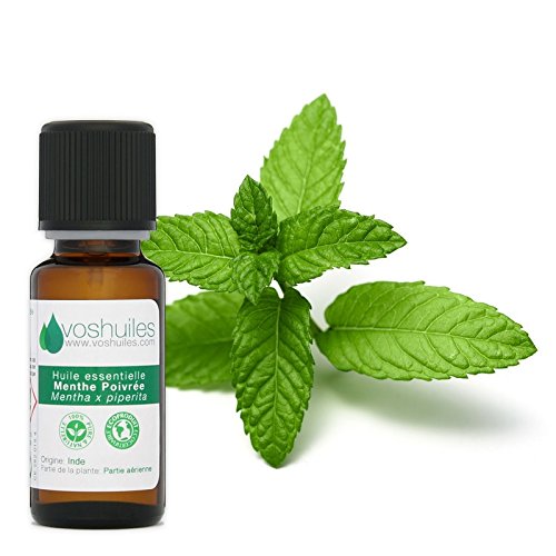 Peppermint Oil Esencial - 100% Puro Y Natural - Hebbd - Diluido En Un Aceite Vegetal - Ideal Para Masaje - Perfume De Mentoli - 10 Ml - Vunthuiles