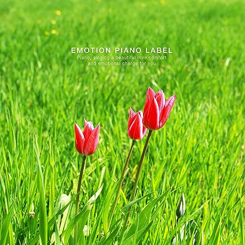 Play A relaxing healing piano music collection for relaxation by ...