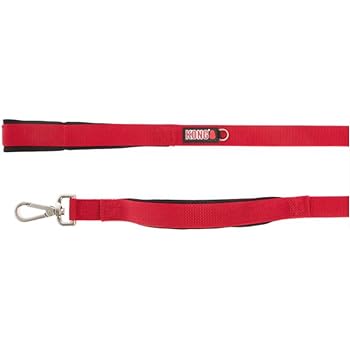 kong comfort leash
