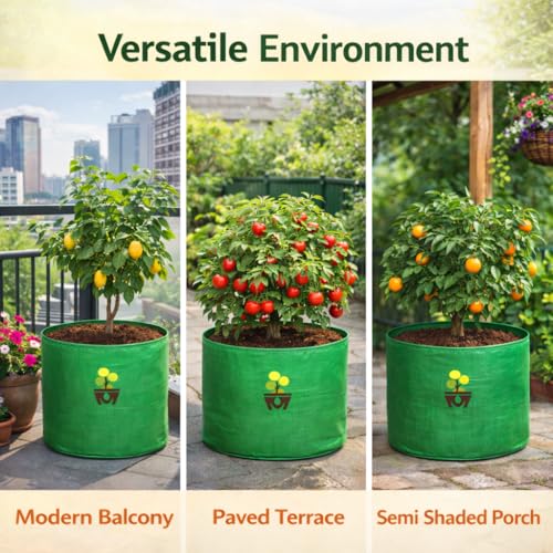Image of MASHKI HDPE Grow Bags for Home, Terrace & Balcony Gardening - Big Size Vegetable Plant Grow Bags (15x15, 18 inchx18 inch & 24 inchx24 inch - Heavy Duty, UV Stabilized) (4, 24x24 Inches)