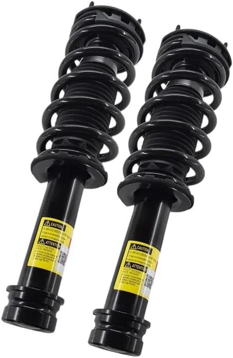 真作】版画 銅版画 Bonne 女性と林檎の幻想的シルエットアート Y60