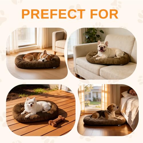 Image of Washable Oval Dog Bedfor Medium Dogs,Silver-Tipped High-Resilience,Brown | Non-Slip Bottom Prevents Sliding, Soft Plush Short Fur, Machine Washable, Ideal for Crates /Apartments /Cozy Nooks,29 inchx18 inchx2.8 inch