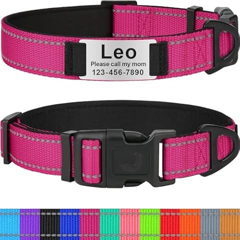 Taglory Personalized Dog Collars for Medium Dogs, Custom Reflective Dog Collar with Name Plate, Padded Pet Collar with Engraved Slide on ID Tags, Hot Pink Cover