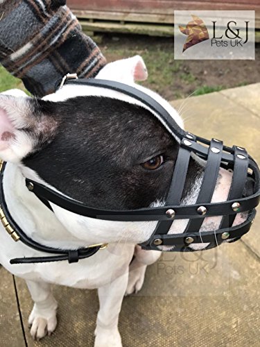 Museruola per cani in vera pelle leggera per