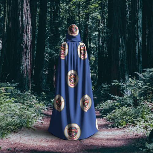 Cape à capuche Minnesota imprimé drapeau unisexe pour Halloween et cosplay - 6