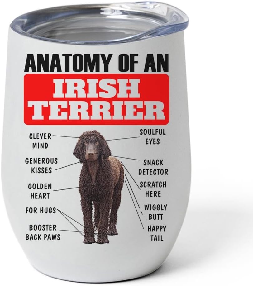 Irish Water Spaniel Dog Tumbler 12oz - Funny Anatomy Chart Design - Stainless Steel Vacuum Insulated Wine Cup With Lid - Gifts for Dog Lovers