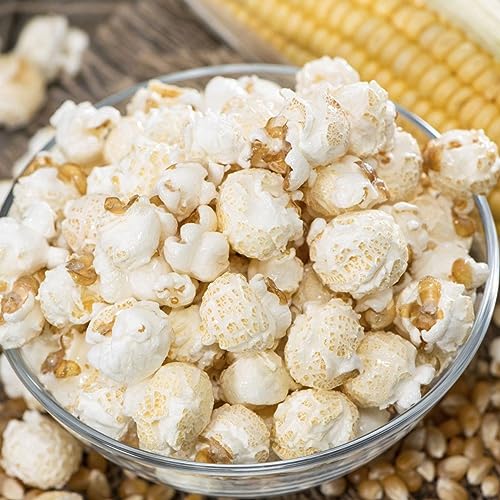 Concession Essentials CE-KERNELS MUSHROOM-64 Premium Gourmet Mushroom Extra Large Popcorn Kernels thumb #1