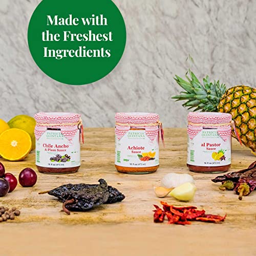 Patricia Quintana Authentic Mexican Cooking Sauce Sampler Pack - Enjoy Achiote, Al Pastor, Chile Ancho & Plum Sauces - Authentic Artisanal Mexican Marinades - (16 Oz, 3 Jars) #TOP2