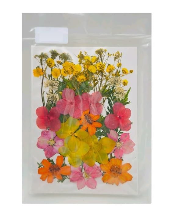 Dry Pressed Flower Sheet, Mixed Colorful Real Dried Flowers, Craft Supplies for Resin Art, DIY Projects, Jewelry, Pendants and More-image-47