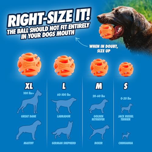 Chuckit! CH31933 Breathe-Right Large 1-er Pack