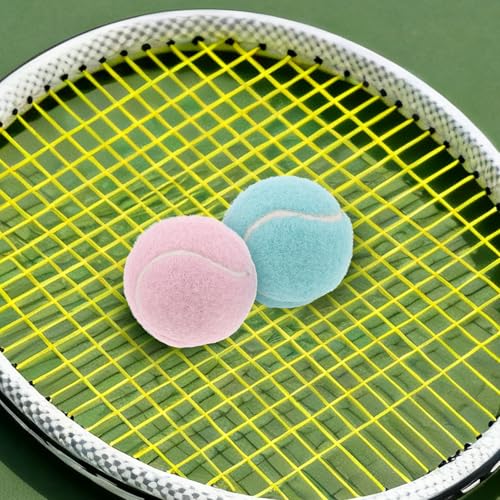 GRIRIW ���S�җp�g���[�j���O�e�j�X�{�[�� �ʐF�ȃs���N�ƃu���[�S�����{�[�� �y�ʑϖ��Ր��ɗǂ����[�X�������K�p�e�j�X�p�i 4�Z�b�g