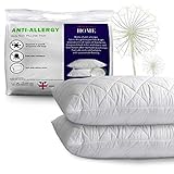 Adam Home Pillows 2 Pack Hotel Quality with Quilted Cover Hypoallergenic & Dust Mite Resistant...