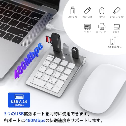 テンキー 有線 USB ハブ 3ポート バスパワー 薄型 18キー テンキーボード Mac用 USB-A接続 3つのUSB2.0ポートを装備 Mac キーボード テン キー PC/Laptop/Windows/iOS/Android 対応 多機能外付けテ ンキー