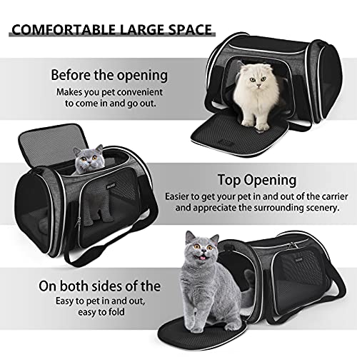 Baglher Pet Travel Carrier, Airline Approved Cat Carriers, Dog Carrier,Suitable For Small And Medium-Sized Cats And Dogs Pet Soft Carrier, Suitable For Travel, Hiking, And Outdoor Use. Purple #TOP5