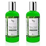 Tea Tree Oil Anti Dandruff Shampoo - 2 Pack Therapeutic Grade | Antifungal for Dry Itchy Flaky Scalp and Hair | Prevents Head Lice Men Women | 250ml