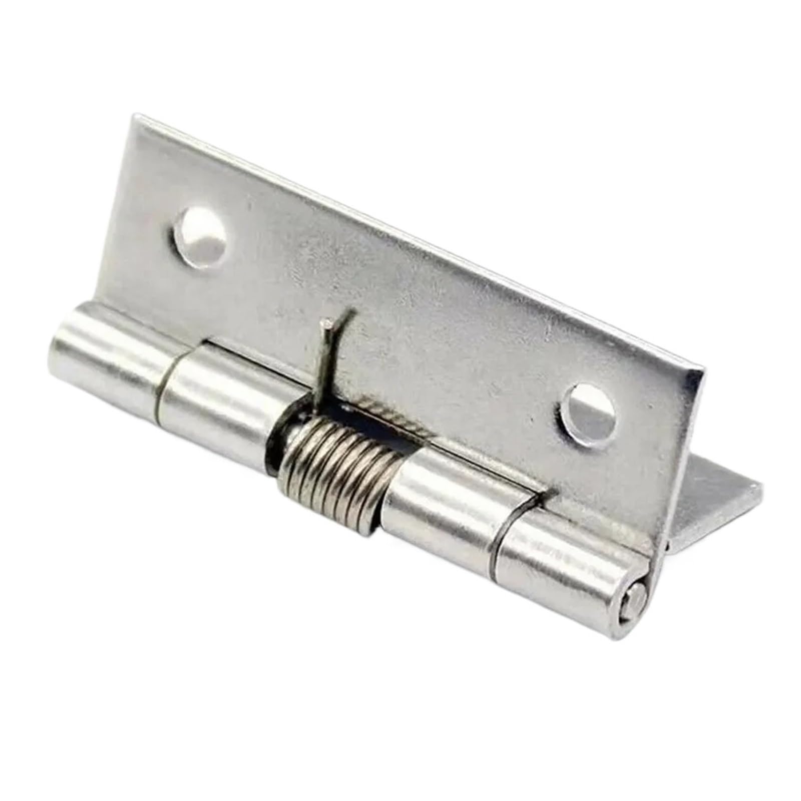 Wsqhao One Color 6Pcs Spring Hinges Self Closing Stainless Steel Door Hinge Hardware For Doors Cabinets For Doors(2 Inch)