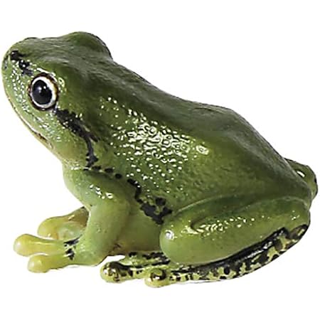 Amazon レプティスマグ ツリーフロッグ アマガエル 2 5 4 3cm ペーパークリップケース 文房具 オフィス用品