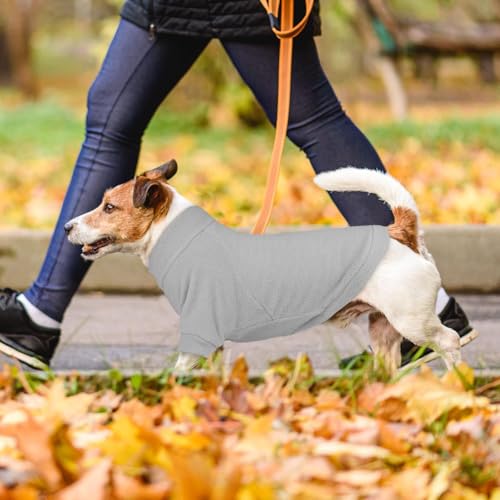 Sinirttou Hundepullover für kleine Hunde, Hundepullover, warme Baumwollmäntel mit weicher Textur für Welpen, mittelgroße Hunde und Katzen (M)