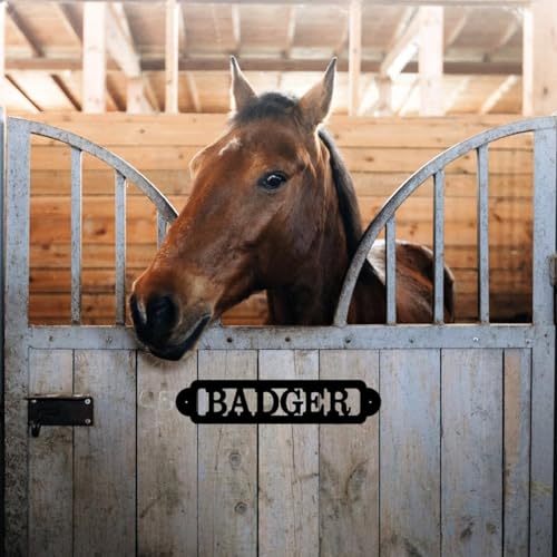 Personalisiertes Metallschild für Pferde, Stall, Namensschild für Pferde, Reiten, Scheunendekoration, Ranch-Dekoration, personalisiertes Scheunenschild, stabiles Türschild, personalisiertes Geschenk