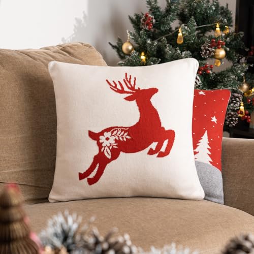 Image of haus & kinder Cotton Cushion Cover 16 x 16 Inch Decorative Throw Pillow Cover for Sofa, Living Room & Bedroom Festive Design Soft Breathable Fabric Machine Washable Cushion Cover (Set of 1)