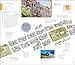 DK San Francisco and the Bay Area (Travel Guide)