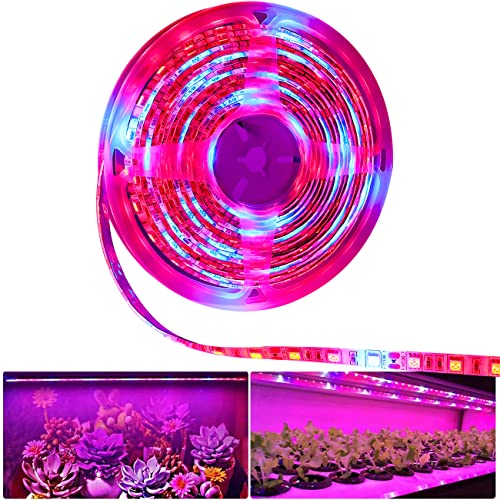 Tesfish LED planten groeistrip licht DC 12V IP65 Ledstrip volledig spectrum SMD 5050 rood blauw 5: 1 LED Lichtstrip voor aquarium kassen planten