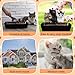 Bokon 50 Pcs 25 Set Disposable Litter Boxes for Cats with Scoop 15.7 x 11.8 x 3'' Plastic Cat Litter Tray Large Kitten Pan for Kitty Rabbit Guinea Pig Hamster Pets Supplies Travel Home Toilet(Black)