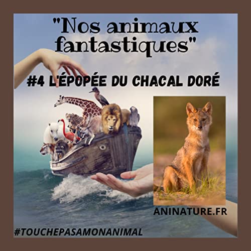 Page de couverture de #4 L'épopée du chacal doré