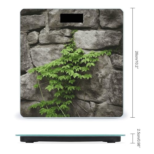 Báscula Digital de Baño Plant on Stone Wall con Pantalla Grande miniatura 2