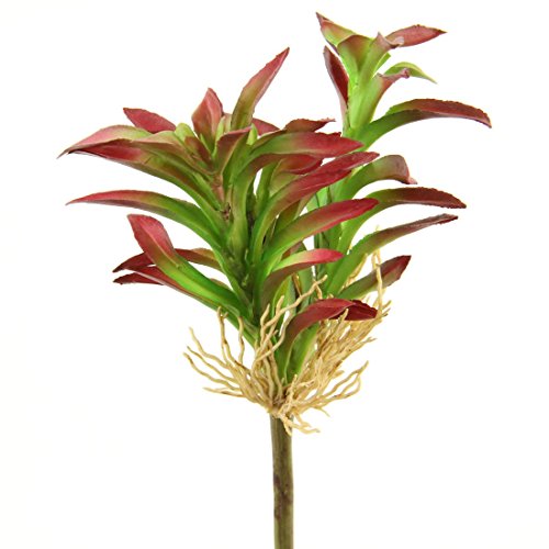 Shinoda Design Center 0031301146 2 Piece Faux Succulent Stem Set, 9