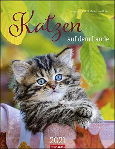 Télécharger Katzen auf dem Lande - Kalender 2021 Francais PDF