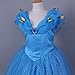 JerrisApparel Flower Girls Dress Princess Costume Butterfly Girl (150, Blue with Accessories)