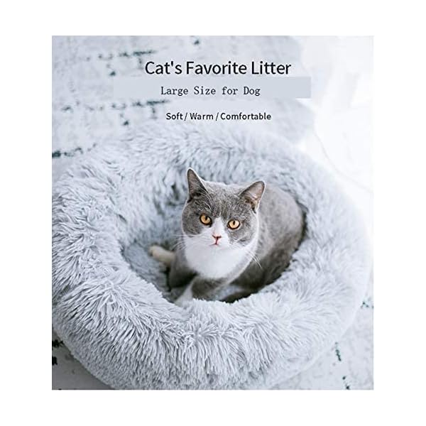 Geizire-Cat-Beds-for-Indoor-Cats-Cat-BedSmall-Dog-Beds-for-Small-Dogs-24-Washable-Donut-Calming-Round-Cat-BedSoft-Fluffy-Warm-and-Cozy-Anti-Anxiety-Cuddler-Joint-Relief-Cat-Bed-Dog-Bed Geizire-Cat-Beds-for-Indoor-Cats-Cat-BedSmall-Dog-Beds-for-Small-Dogs-24-Washable-Donut-Calming-Round-Cat-BedSoft-Fluffy-Warm-and-Cozy-Anti-Anxiety-Cuddler-Joint-Relief-Cat-Bed-Dog-Bed
