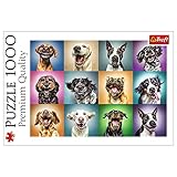 Premium Puzzle mit 1000 Teilen