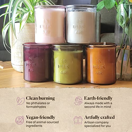 Paddywax Firefly Candle Co. En Plein Air Scented Candles With Soy Wax Blend And Reusable Glass Jar For Home Fragrance And Aromatherapy - 10 Ounce, Grapefruit Mangosteen, Blush Pink #TOP2