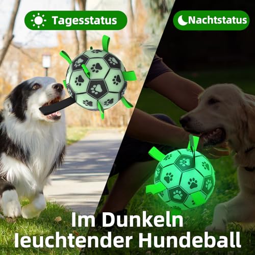 HETOO Hundespielzeug, Hundeball mit Nylon Seil, Premium Hundefußball Spielzeug für Mittlere Große Hunde Indoor & Outdoor Unterhaltung (8 Zoll Glow in Dark)