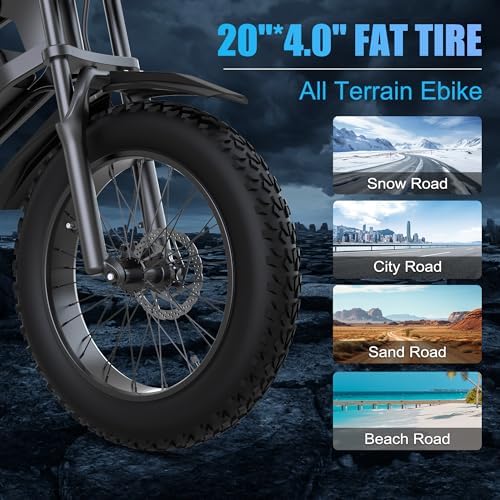 R8 Electric Bike for Adults,48V 20AH - Peak Power 1500W Brushless Motor Electric Bicycle - Max Speed 31MPH - Max 80 Miles Range - 20" x 4.0" Fat Tire Dirt EBike - UL2849 image 8
