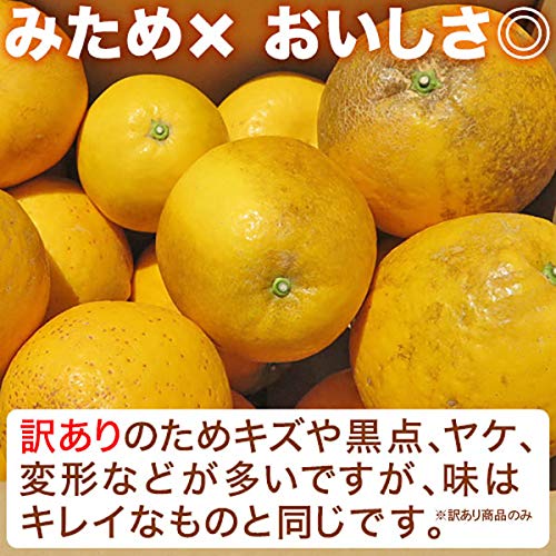Amazon.co.jp: 河内晩柑 愛媛 5kg 訳あり規格外品 M～3Lサイズ混合
