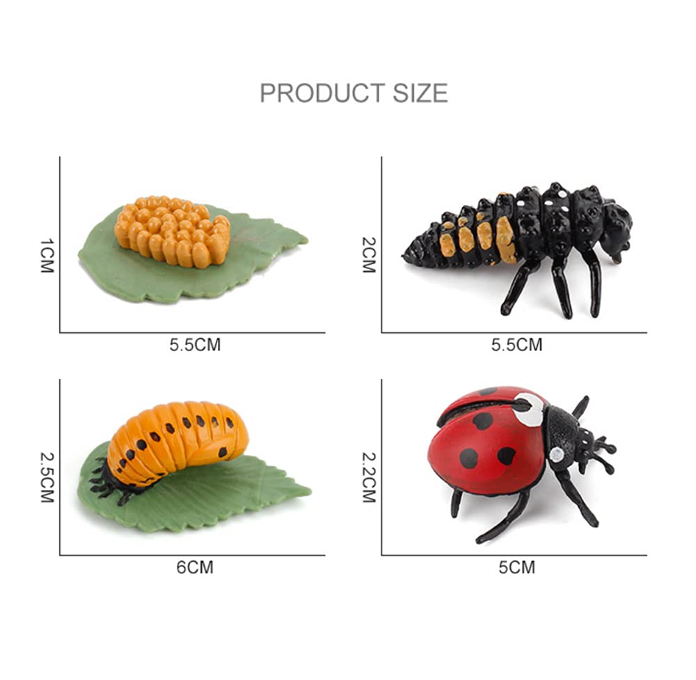 Amazon.co.jp: 昆虫フィギュアセットテントウムシライフサイクル