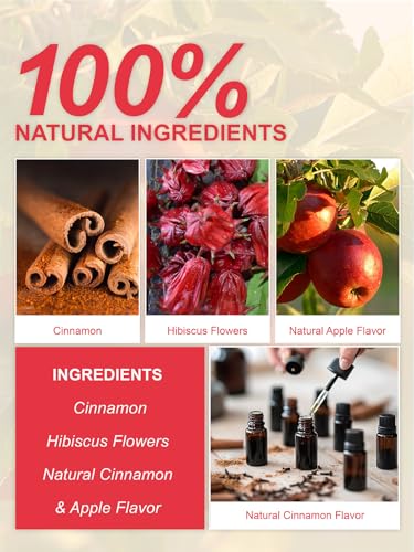 Image of TeeLux Cinnamon Apple Tea Bags, 2.8g /bag, Cinnamon with Hibiscus Herbal Tea, Sweet & Tart & Slightly Spicy, Caffeine Free, 60 Count