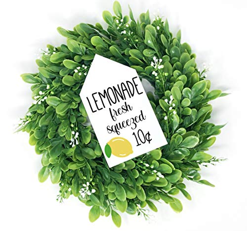 Lemonade Fresh Squeezed 10¢ For Sale House Shaped Sign, Wooden Tiered Tray Decor