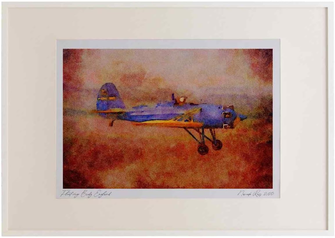 450050 Timm, Aerocraft, 1941, St. Louis, Missouri Watercolour A3 Picture Frame Limited Edition A4