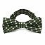Dark Green George Plaid