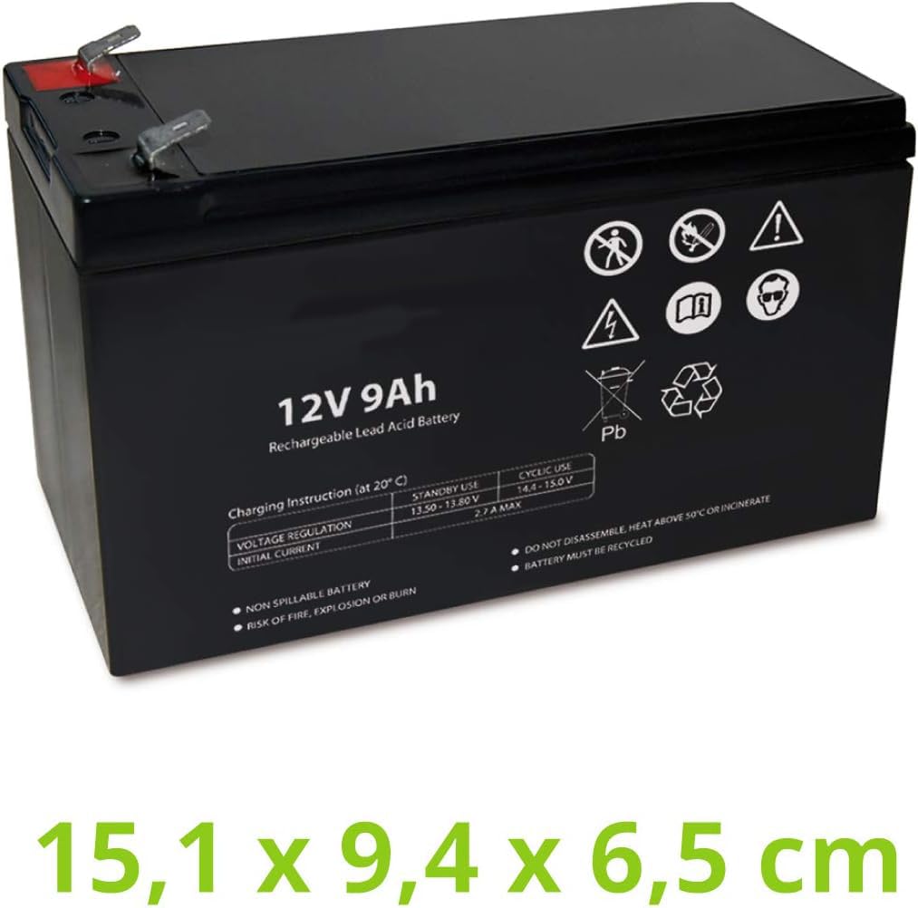 Batteria Ermetica al Piombo 12 V Capacità 9 Ah, per UPS, Sistemi di Videosorveglianza e Allarme, Attacco Faston 6.3 mm, Dimensioni 15.1 x 9.4 x 6.5 cm