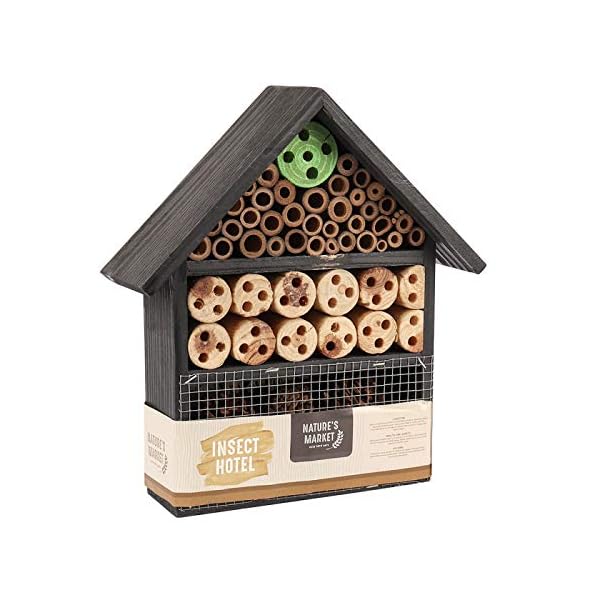 garden mile® Insektenhotel aus Holz für den Garten, Naturholz, wetterbeständig, zum Aufhängen, Insektenhotel lockt… – Bild 4