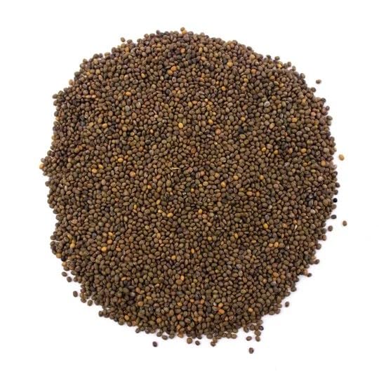 SkySprouts Organic Rocket Microgreen Seeds, 500g 500g - Non-GMO |High Germination