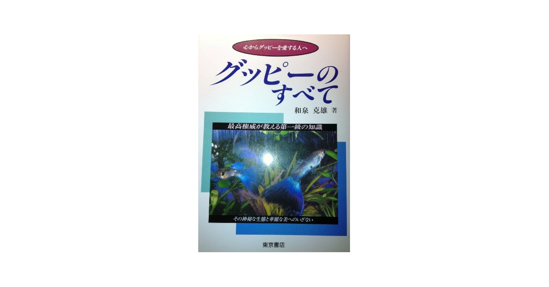 グッピーのすべて | 和泉 克雄 |本 | 通販 | Amazon