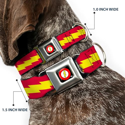 Collier pour chien boucle ceinture sécurité fin des ouvertures accidentelles - 3